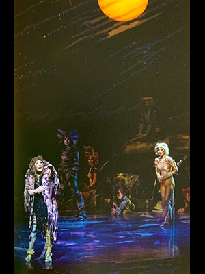 米澤キャスター 日傘