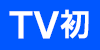 TV初
