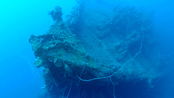 この記事の写真