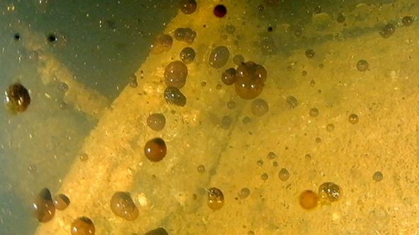 この記事の写真