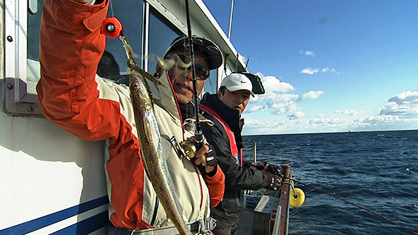 この記事の写真