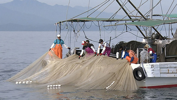この記事の写真