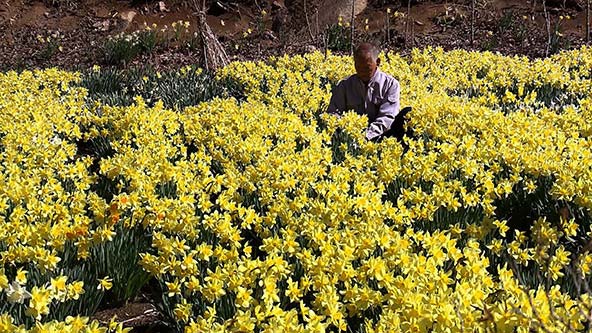 この記事の写真