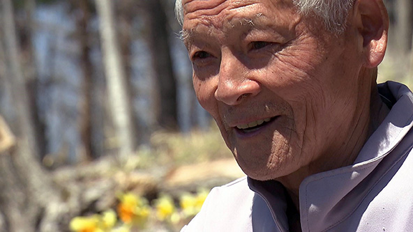 この記事の写真