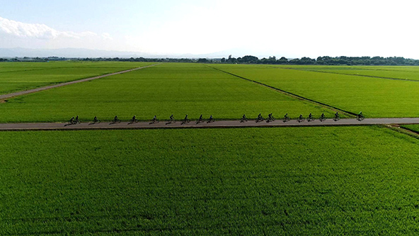 この記事の写真