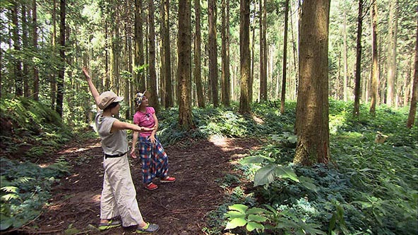 この記事の写真