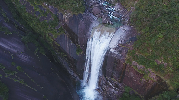 この記事の写真