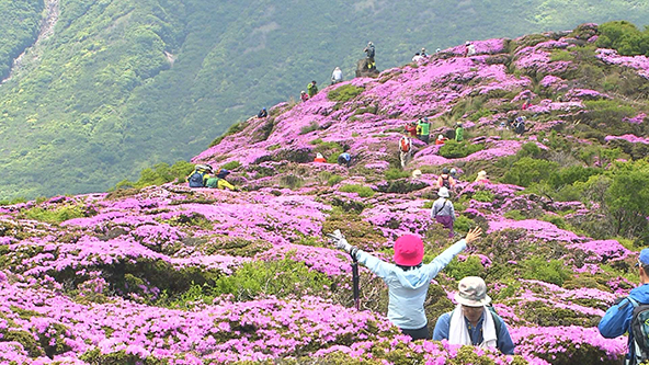 この記事の写真