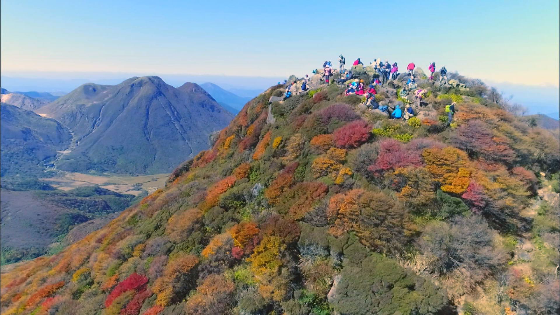 この記事の写真