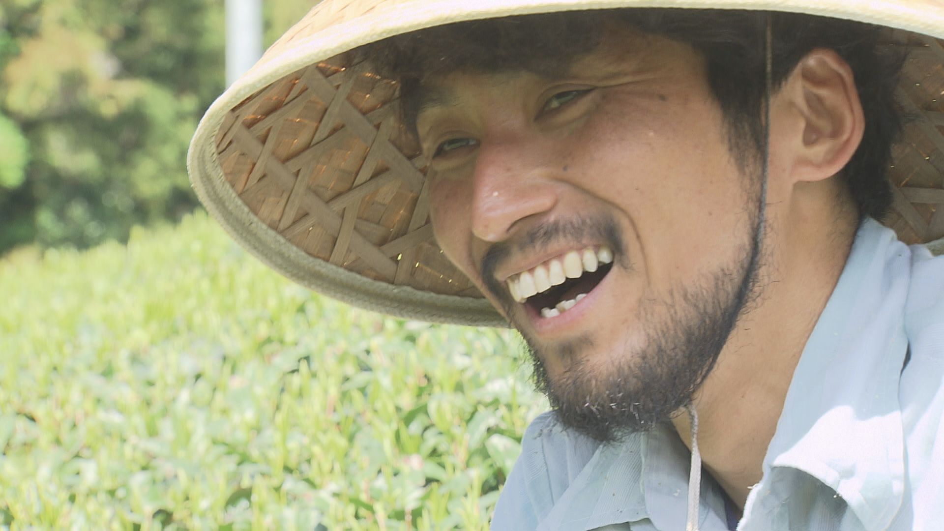 この記事の写真