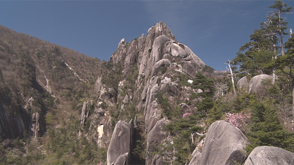 この記事の写真