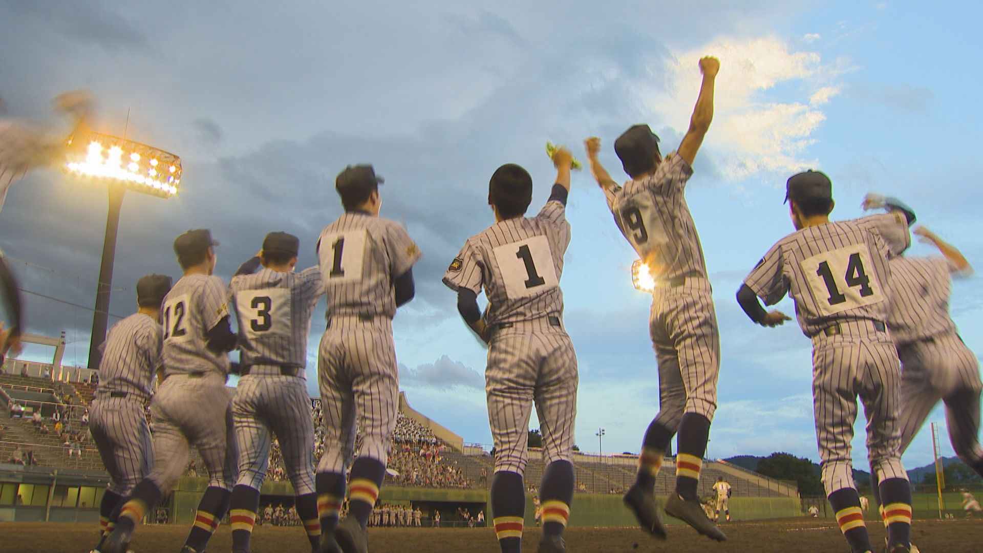 この記事の写真