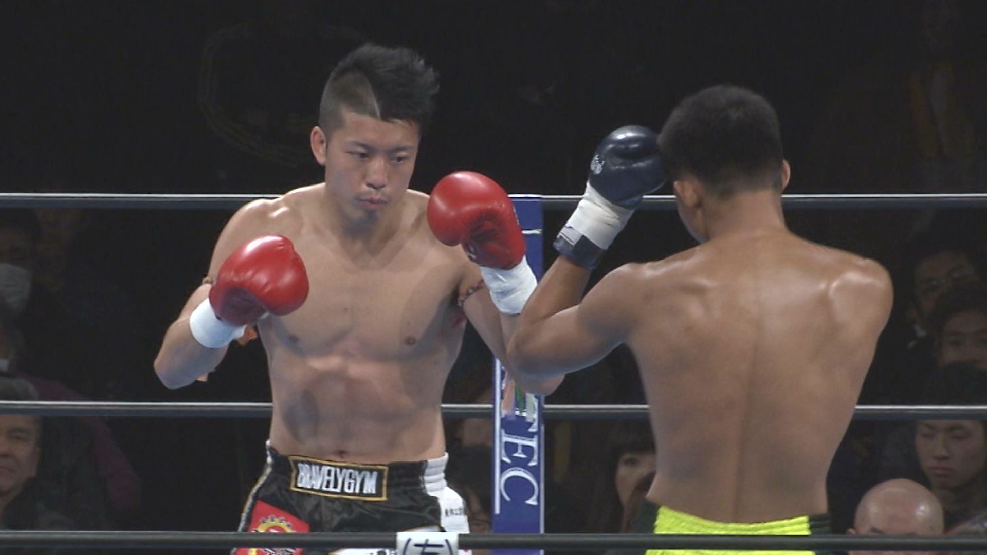 この記事の写真