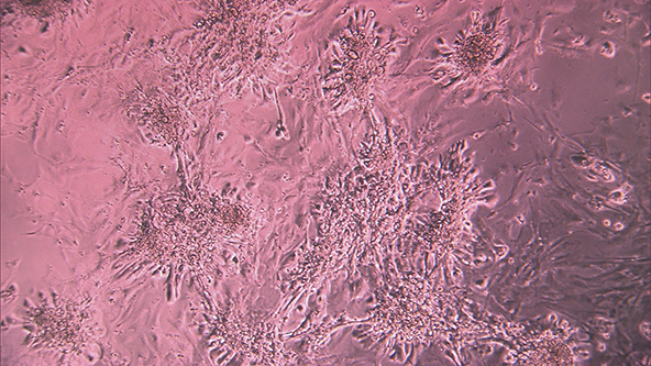 この記事の写真