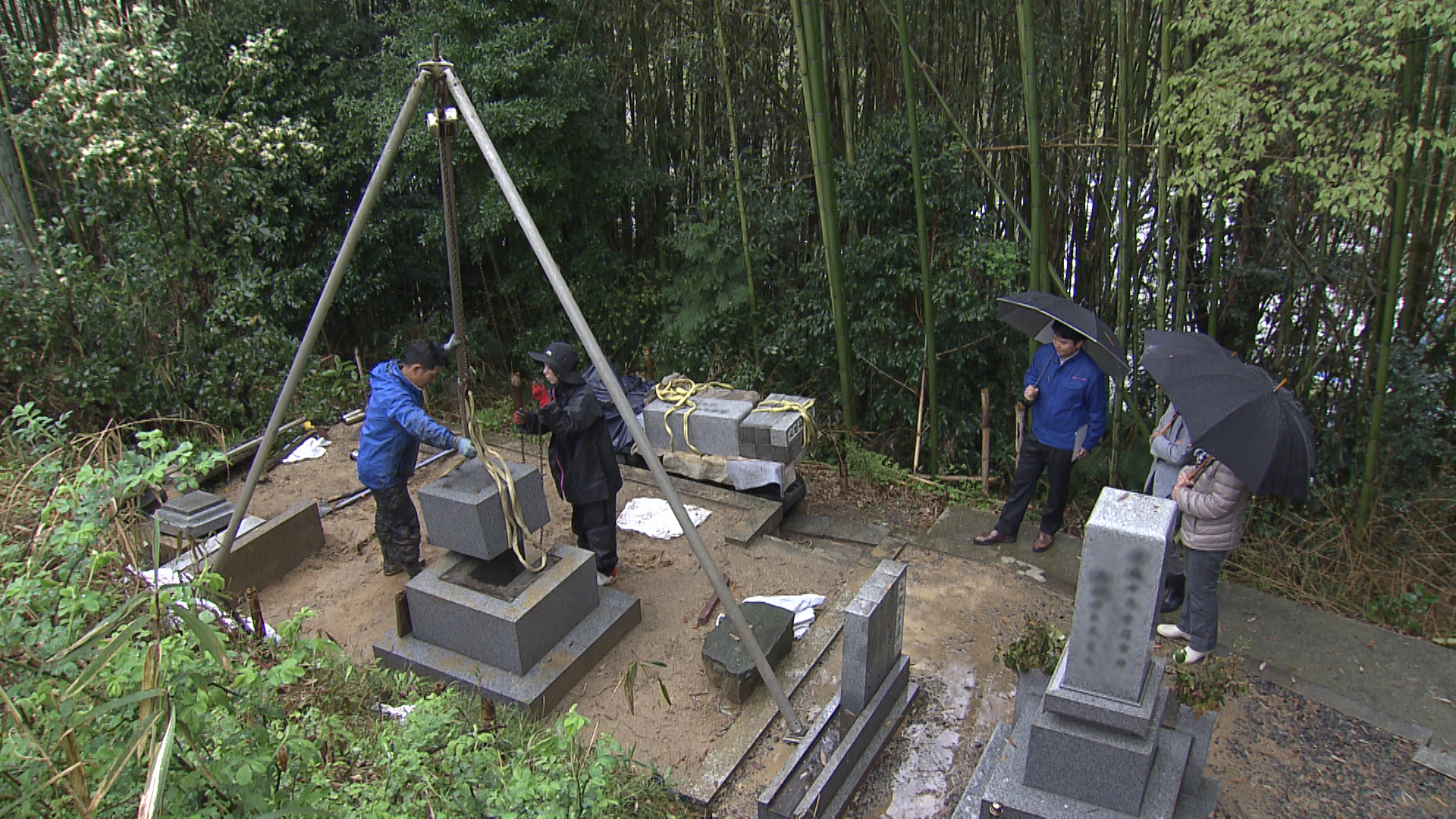 この記事の写真