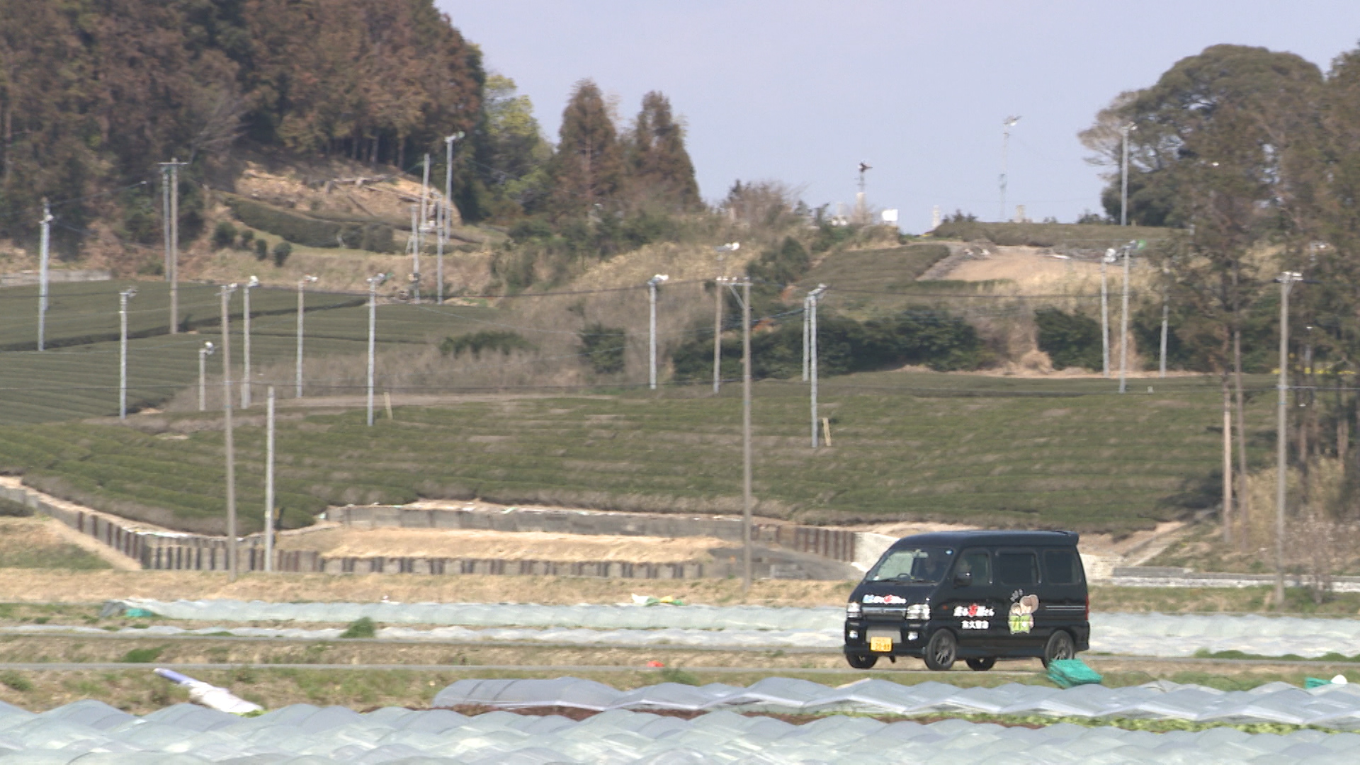 この記事の写真