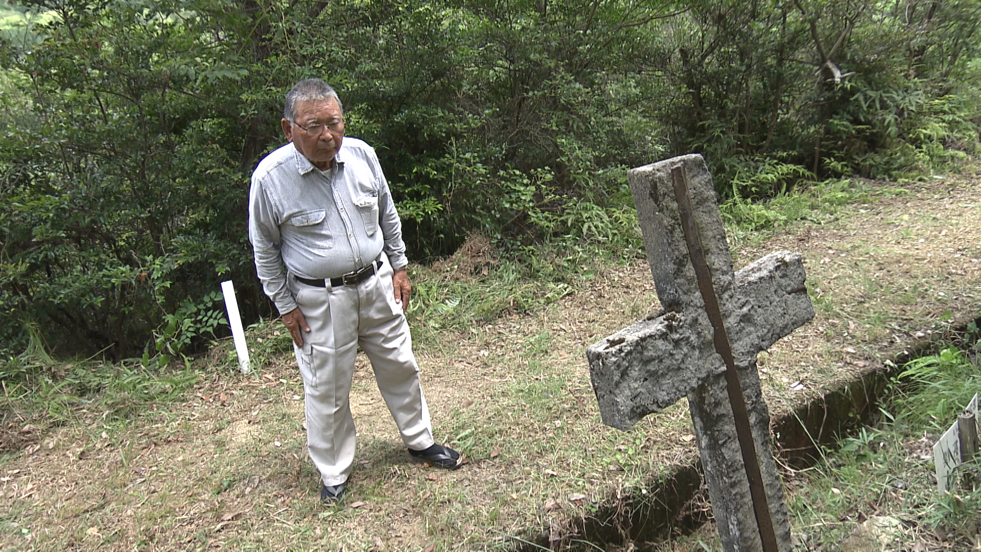 この記事の写真