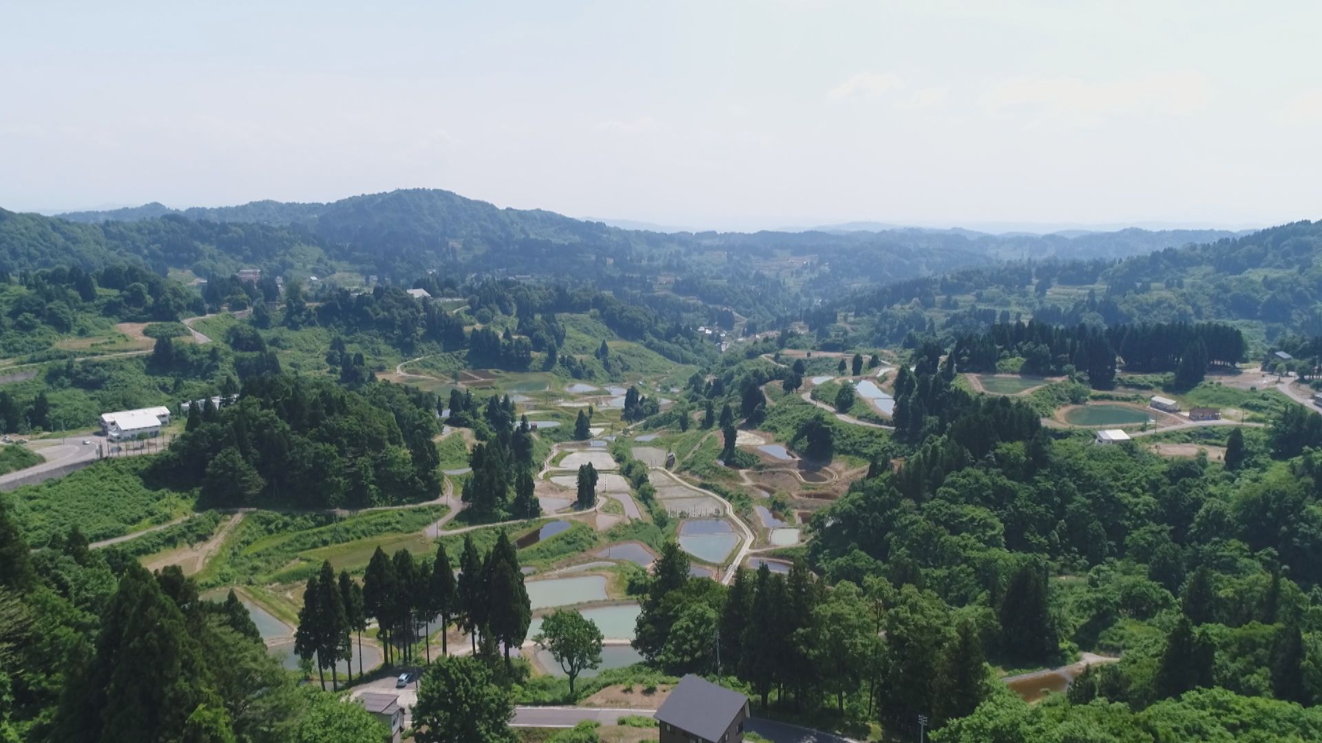 この記事の写真