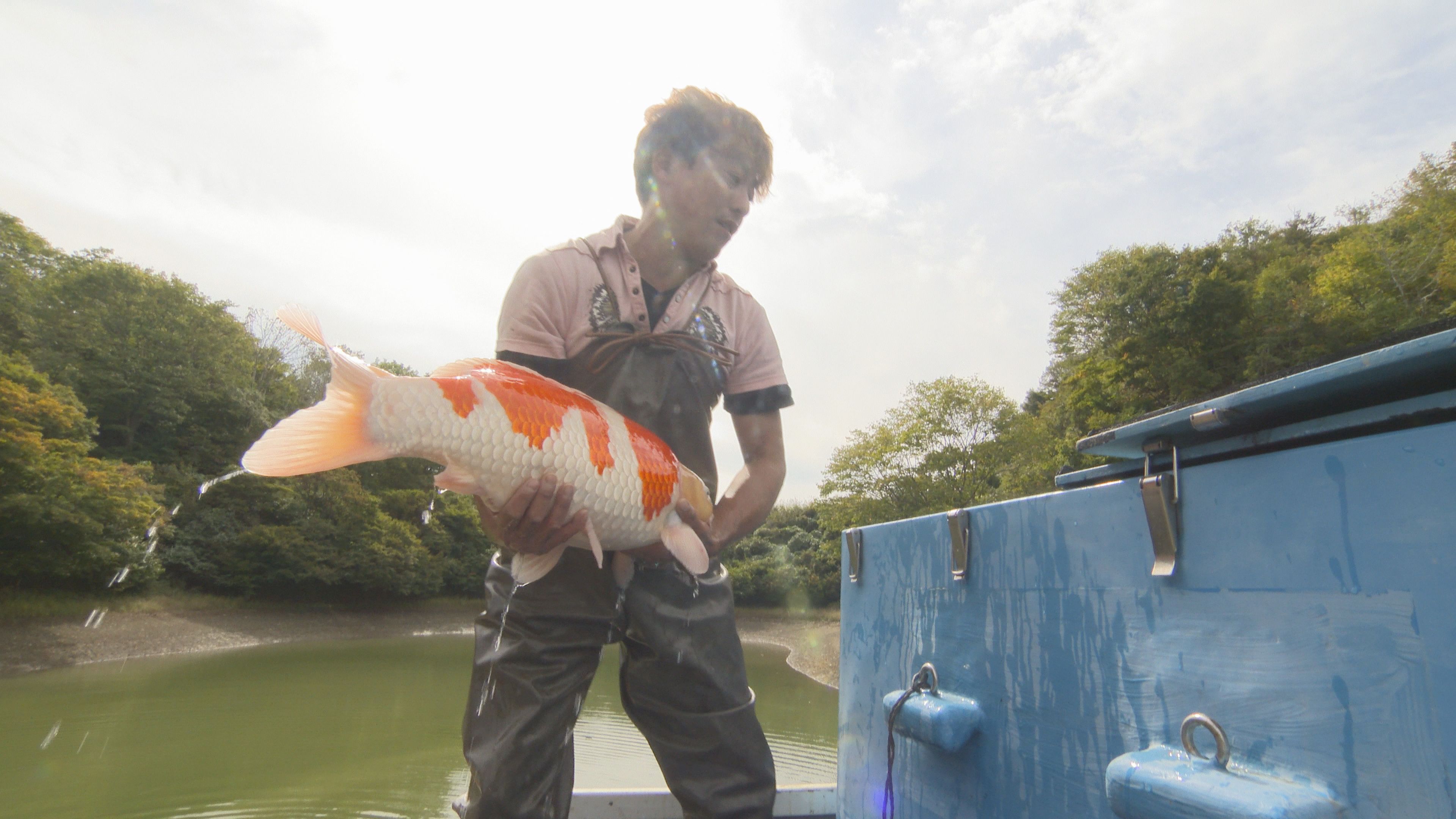 この記事の写真
