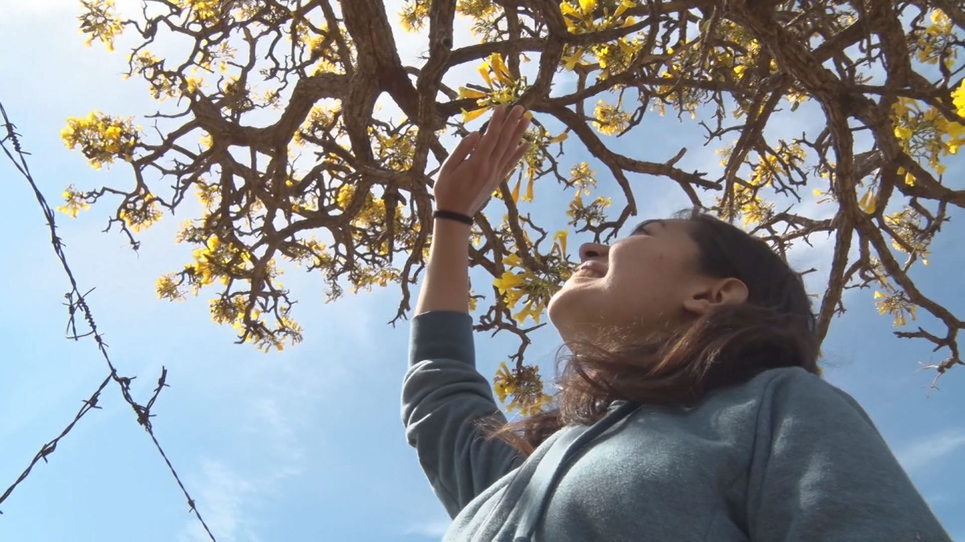 この記事の写真