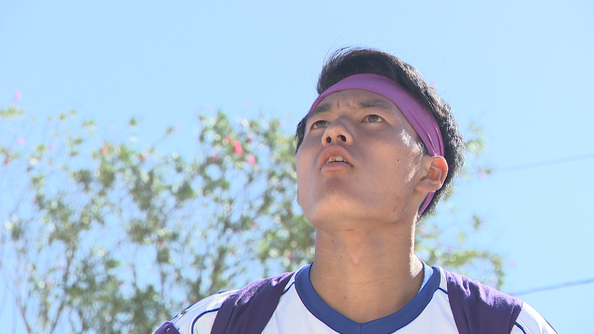 この記事の写真