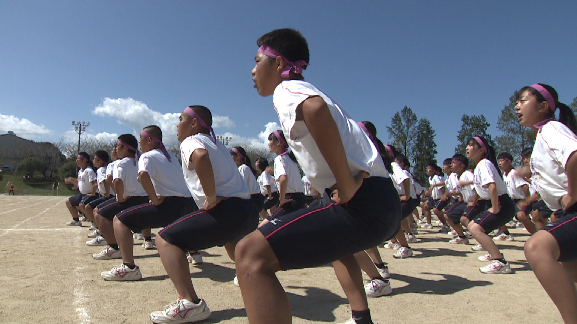 この記事の写真