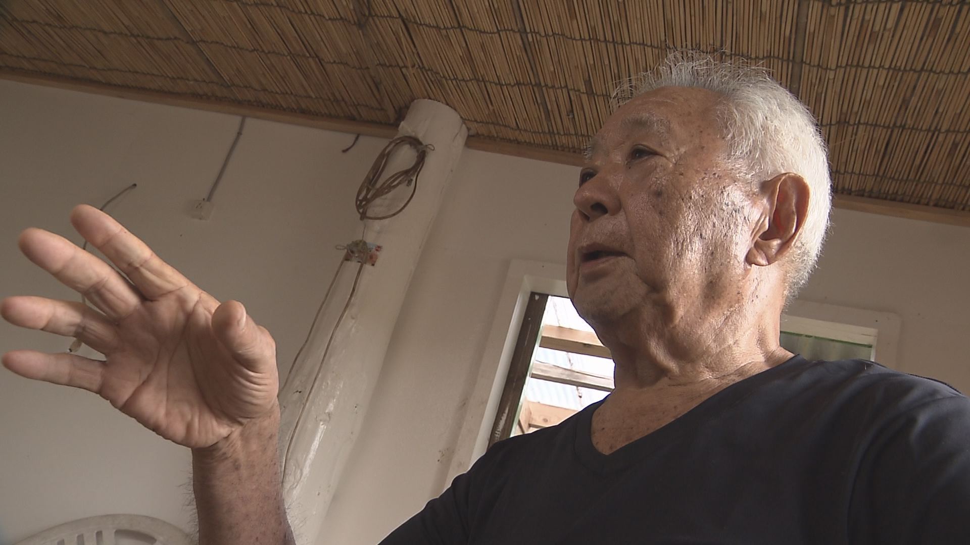 この記事の写真