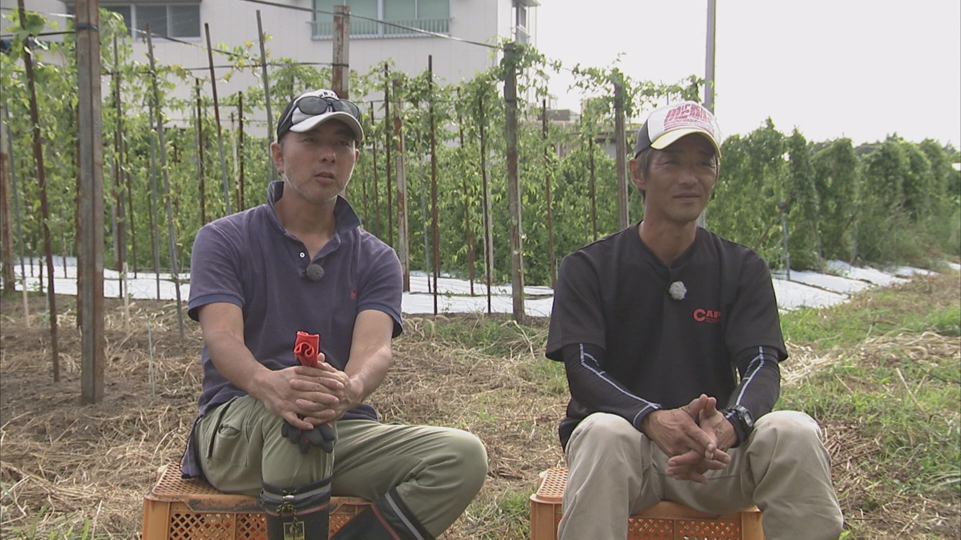 この記事の写真