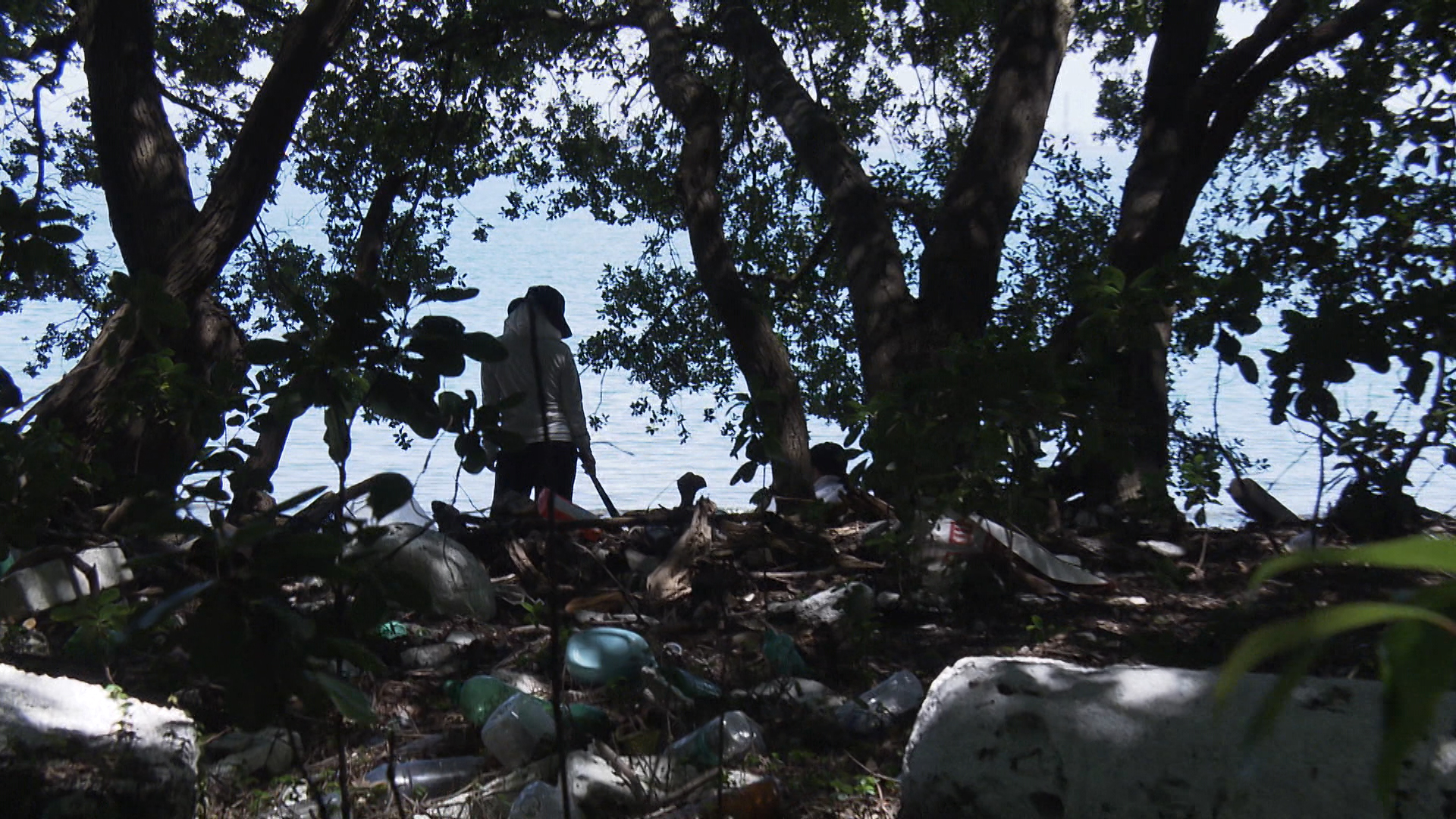 この記事の写真