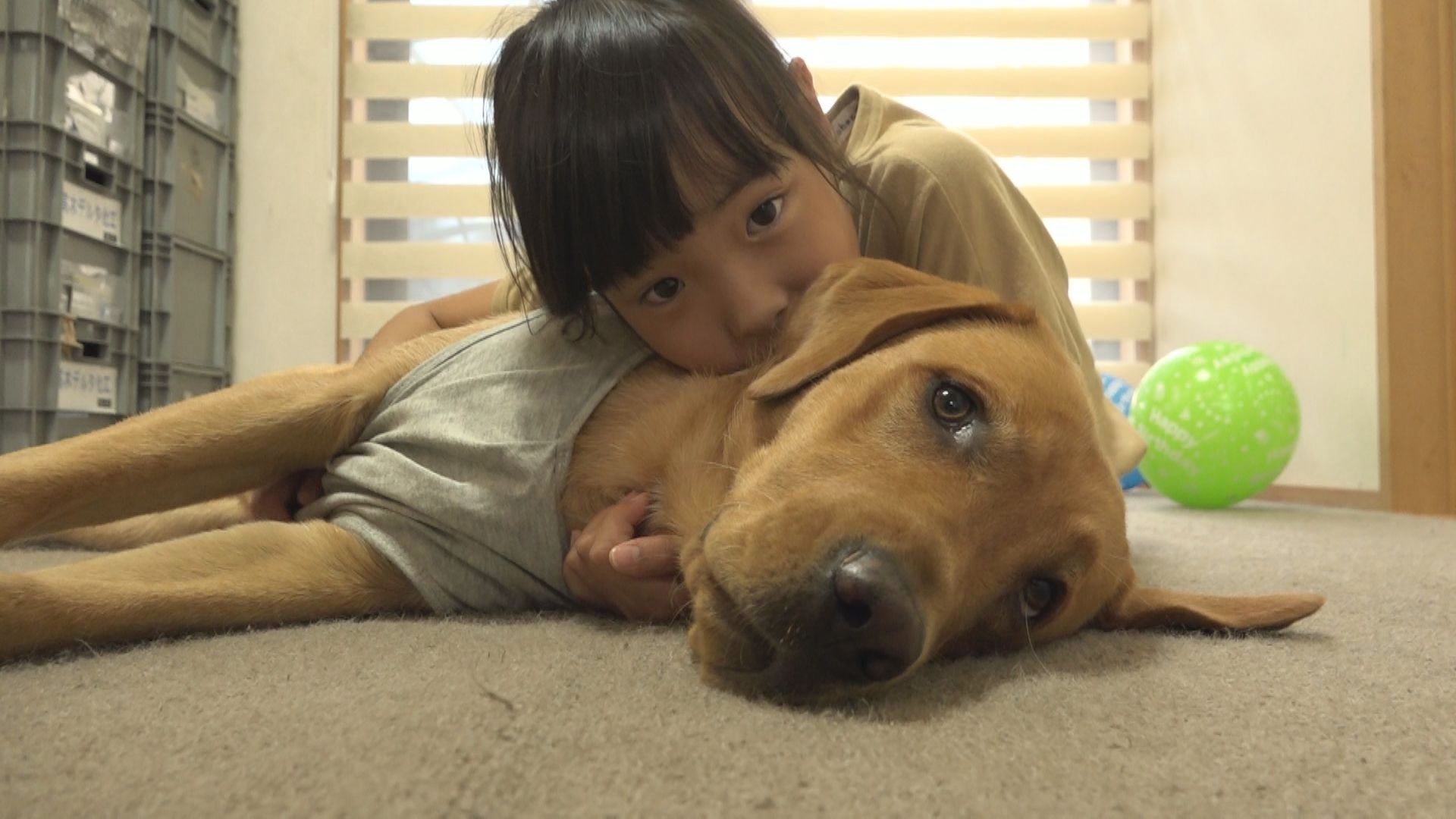 この記事の写真