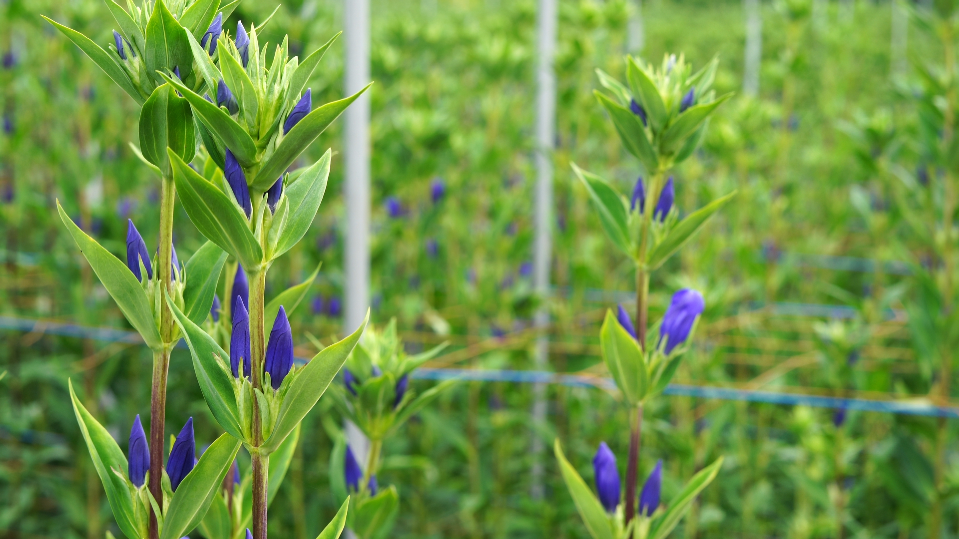 この記事の写真