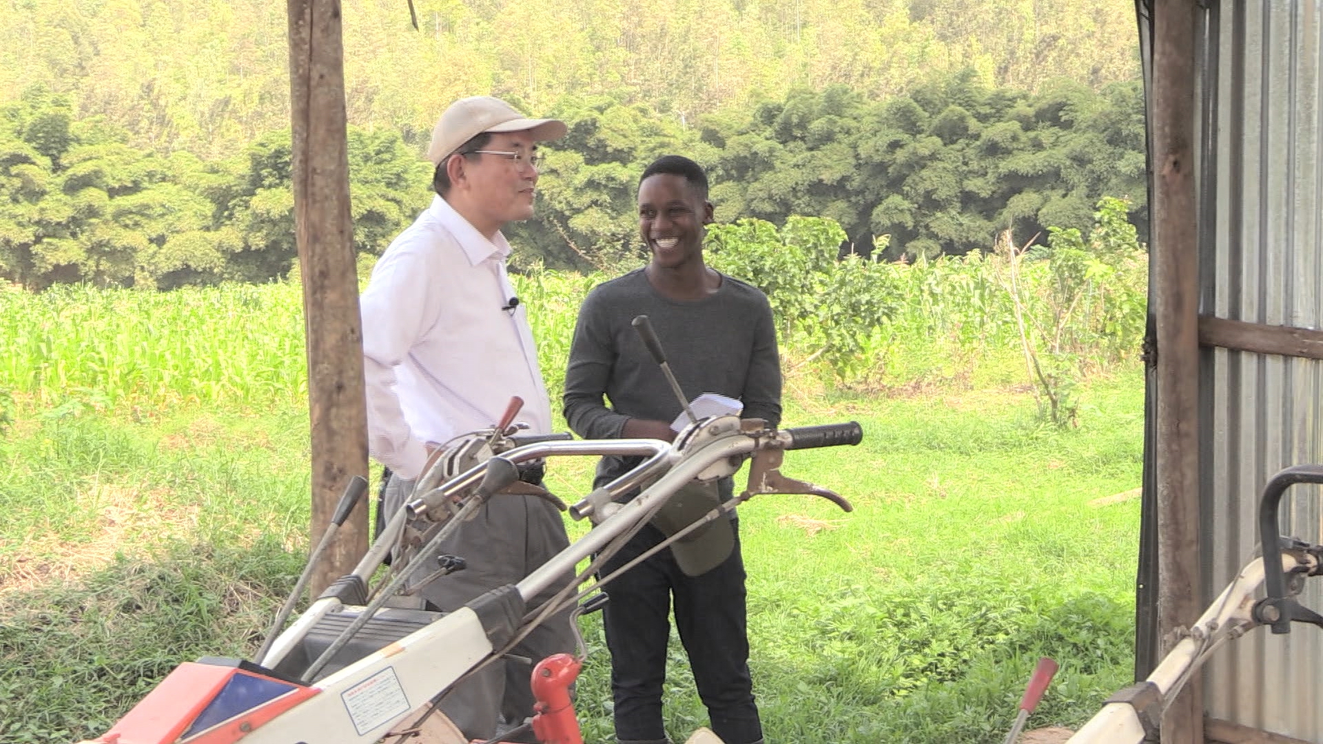 この記事の写真