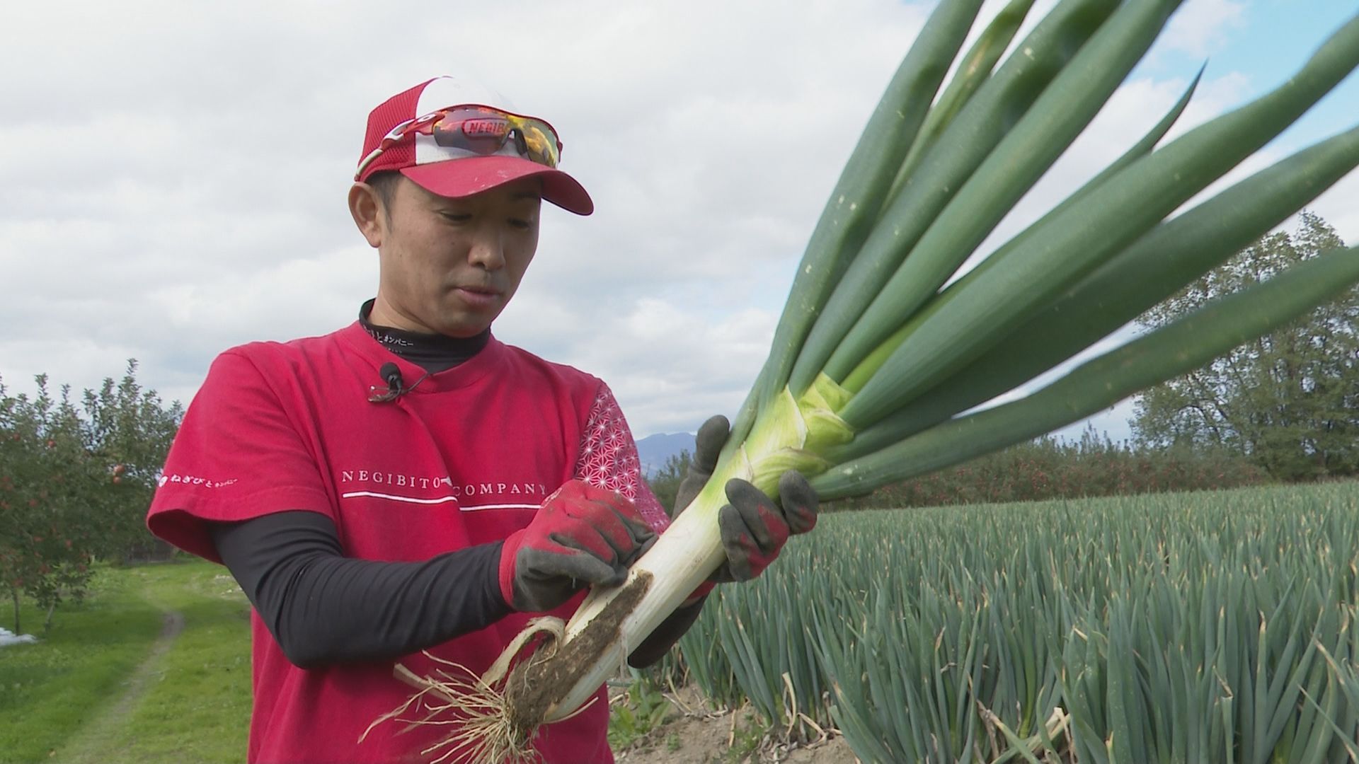この記事の写真