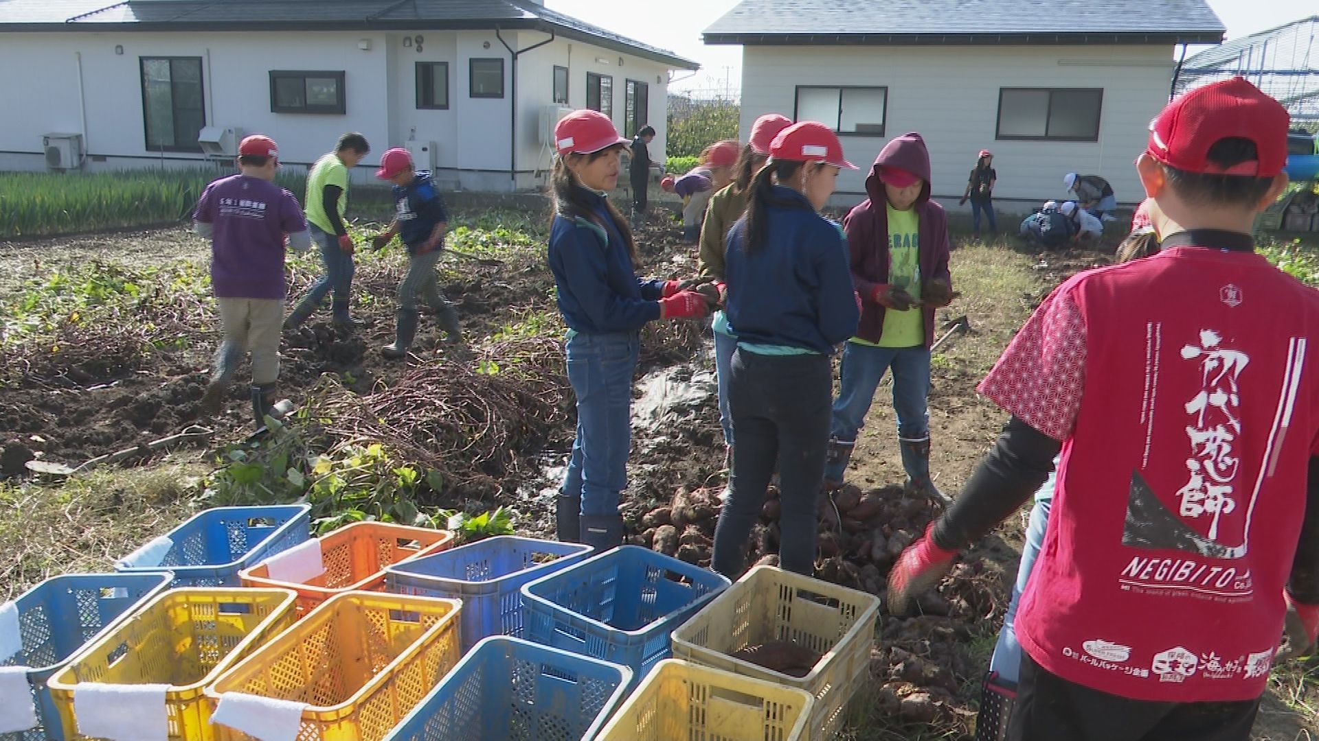 この記事の写真