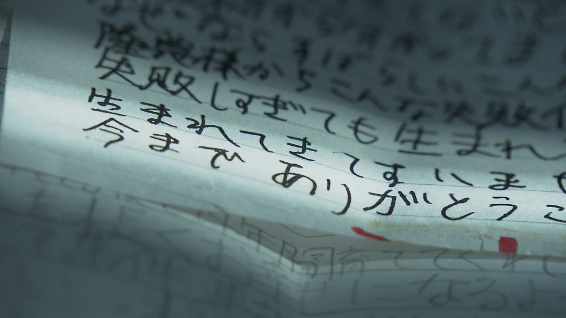 この記事の写真