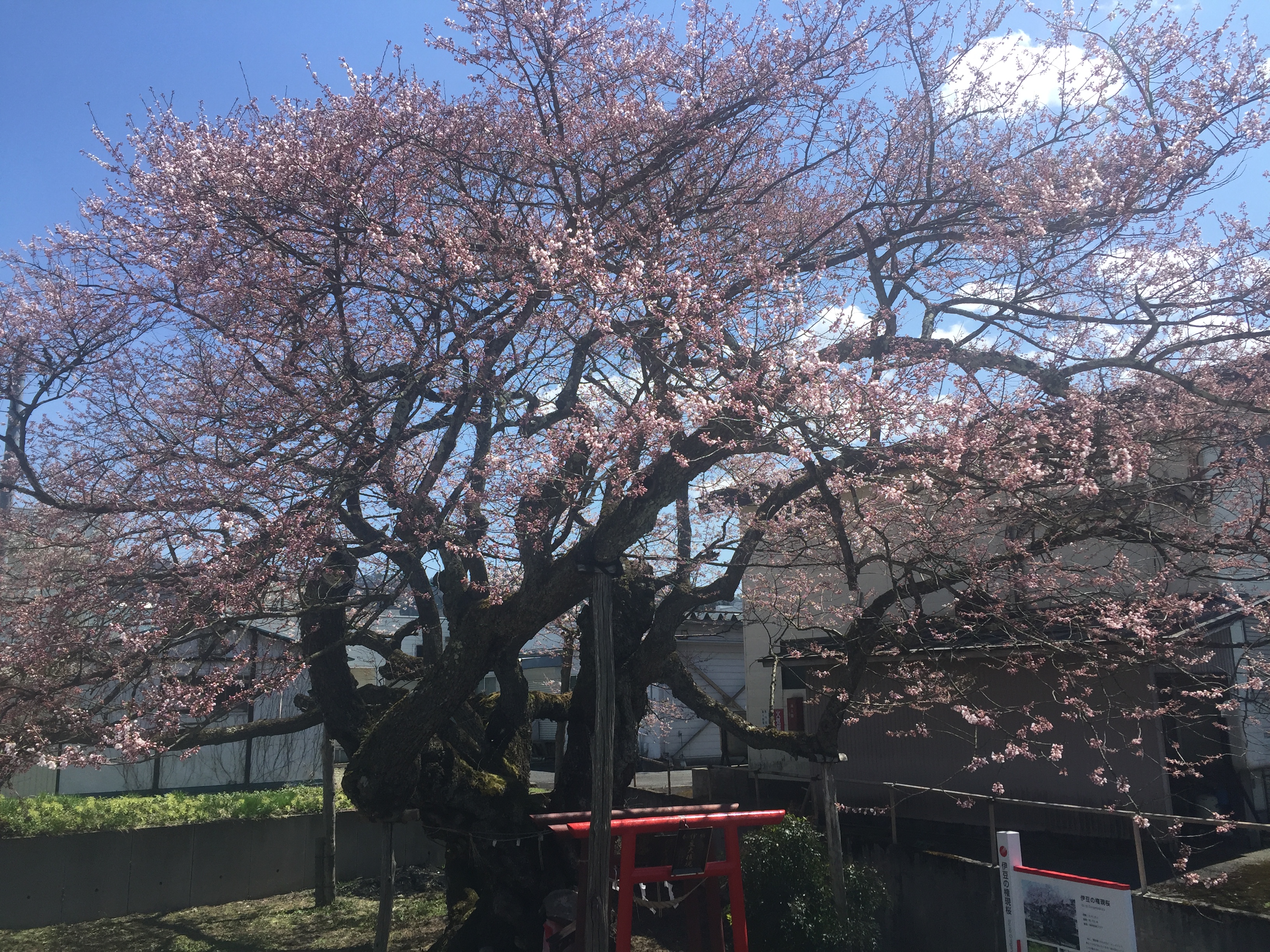 この記事の写真