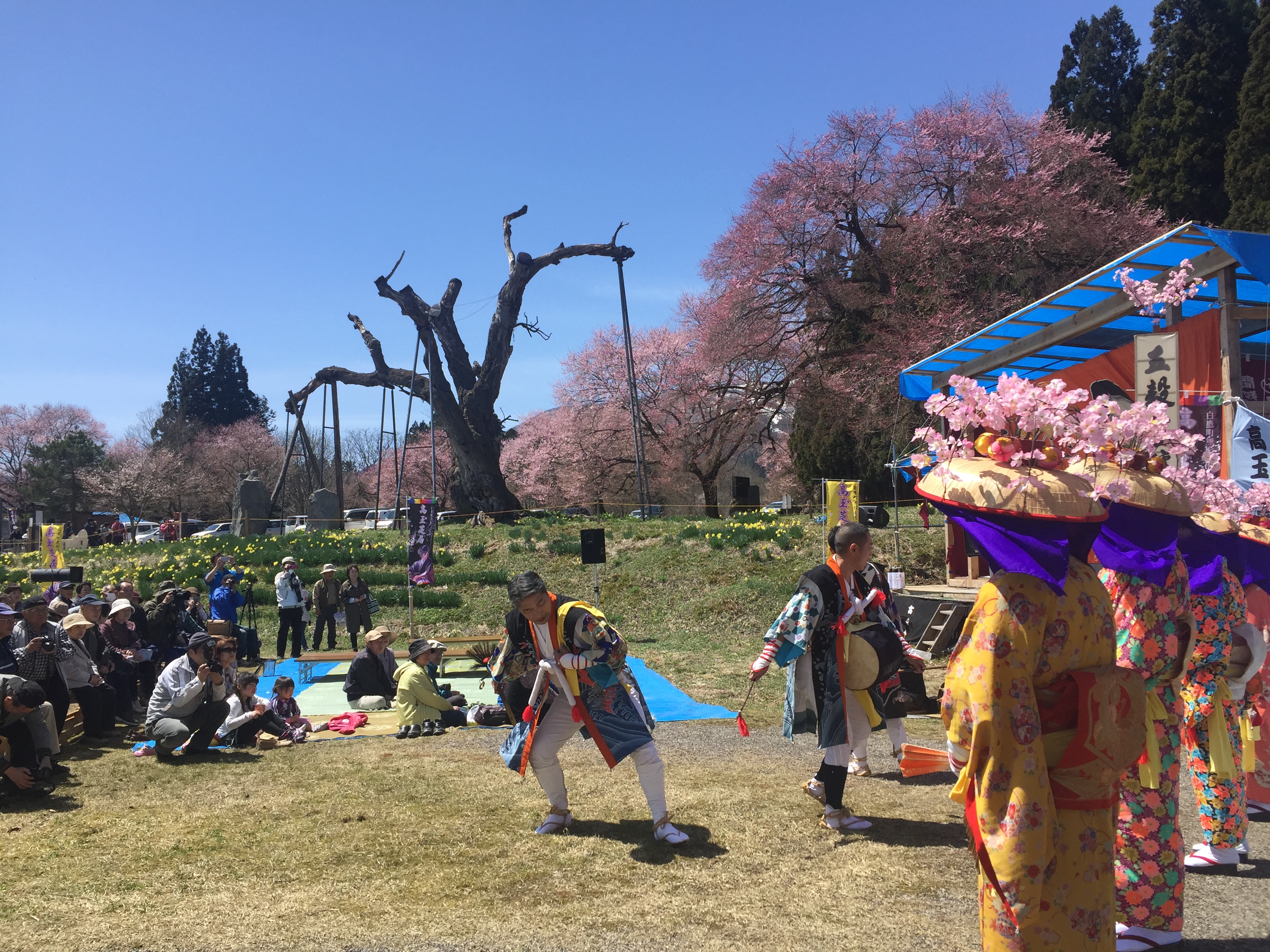 この記事の写真