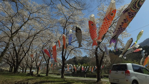 この記事の写真