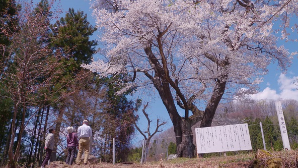この記事の写真