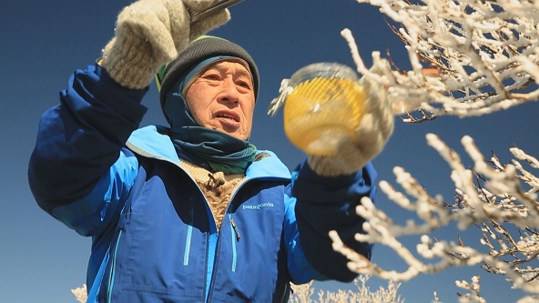 この記事の写真