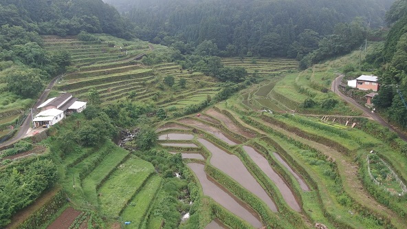 この記事の写真