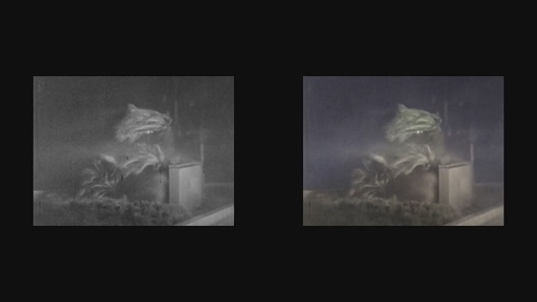 この記事の写真