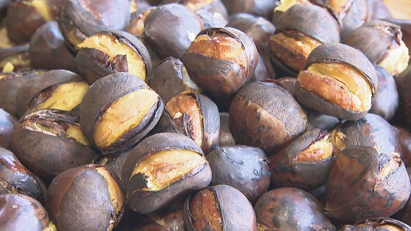 この記事の写真