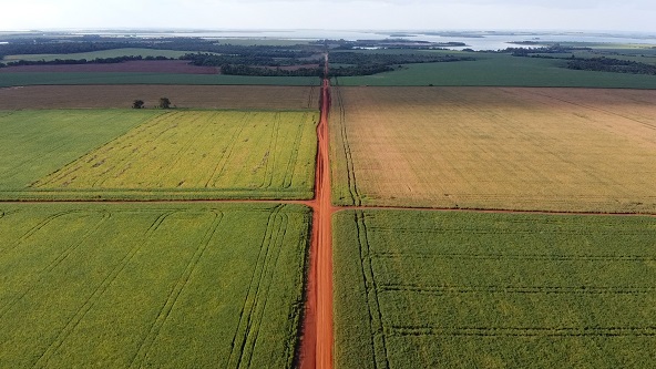 この記事の写真