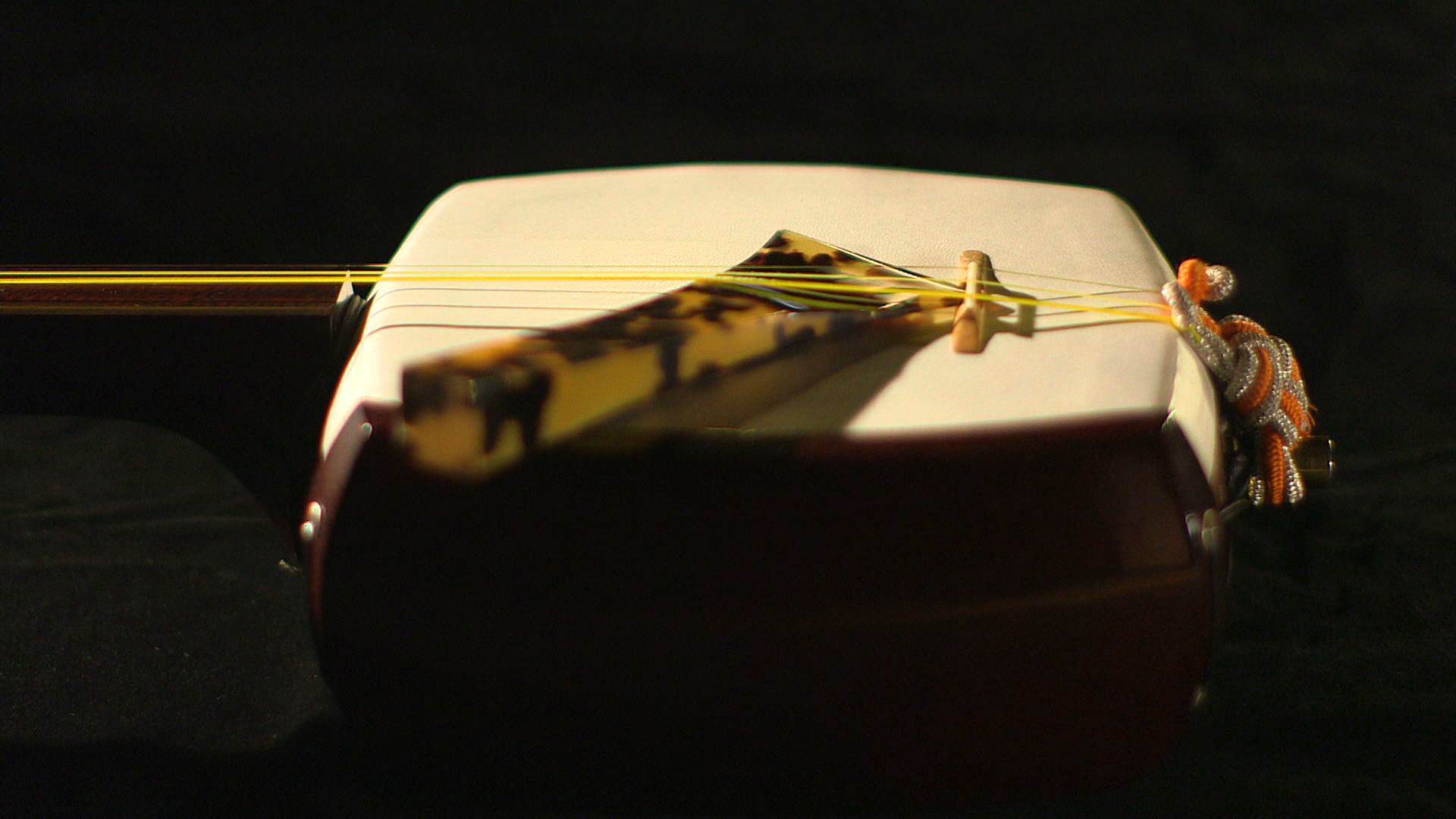 この記事の写真