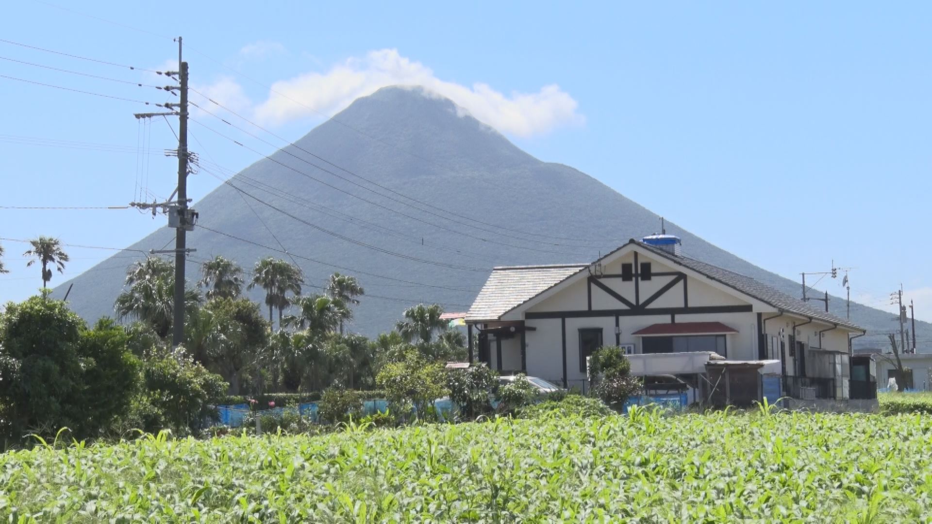 この記事の写真