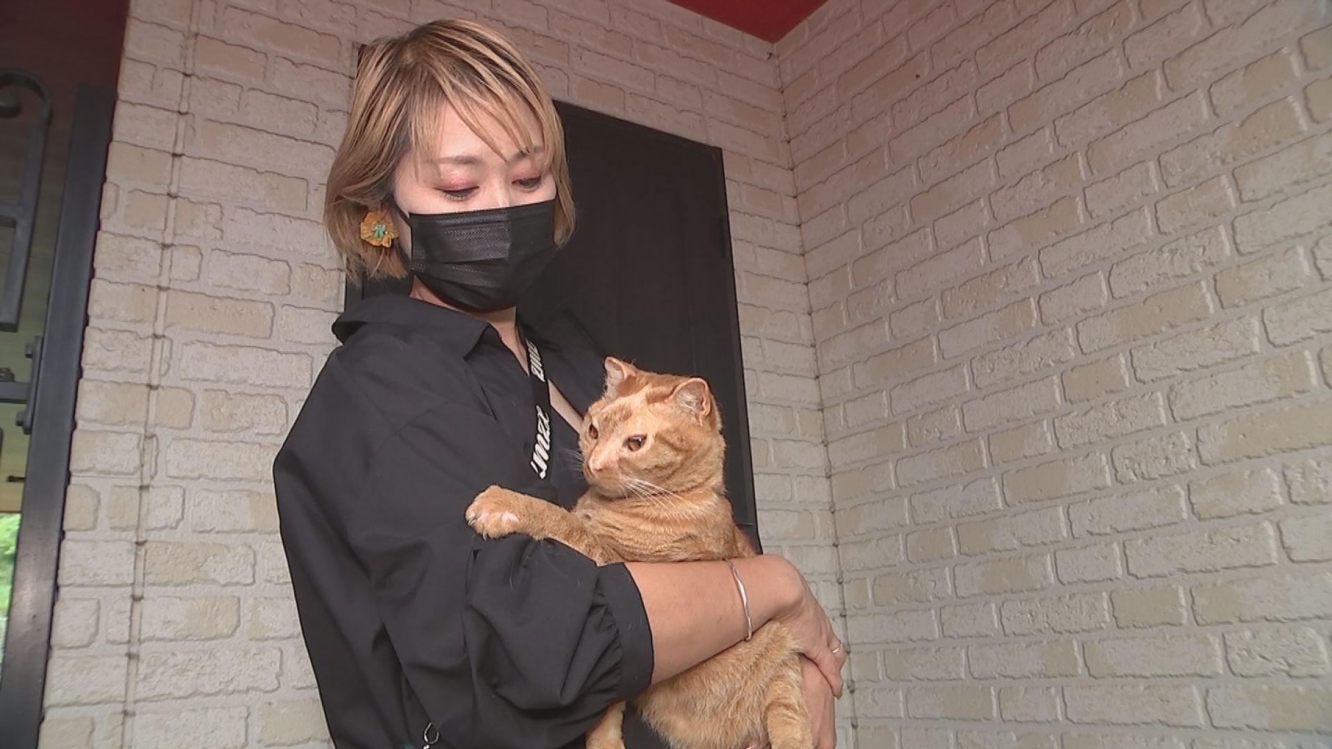 この記事の写真