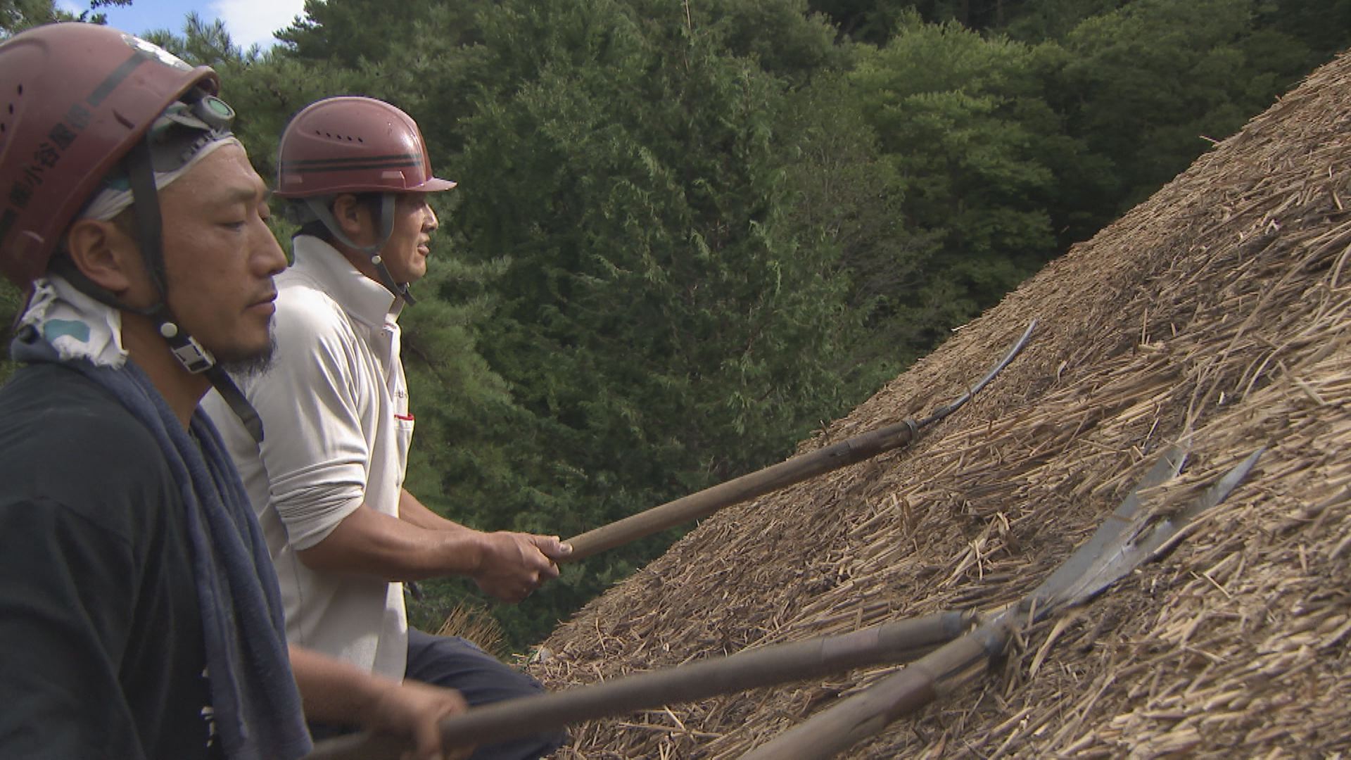 この記事の写真