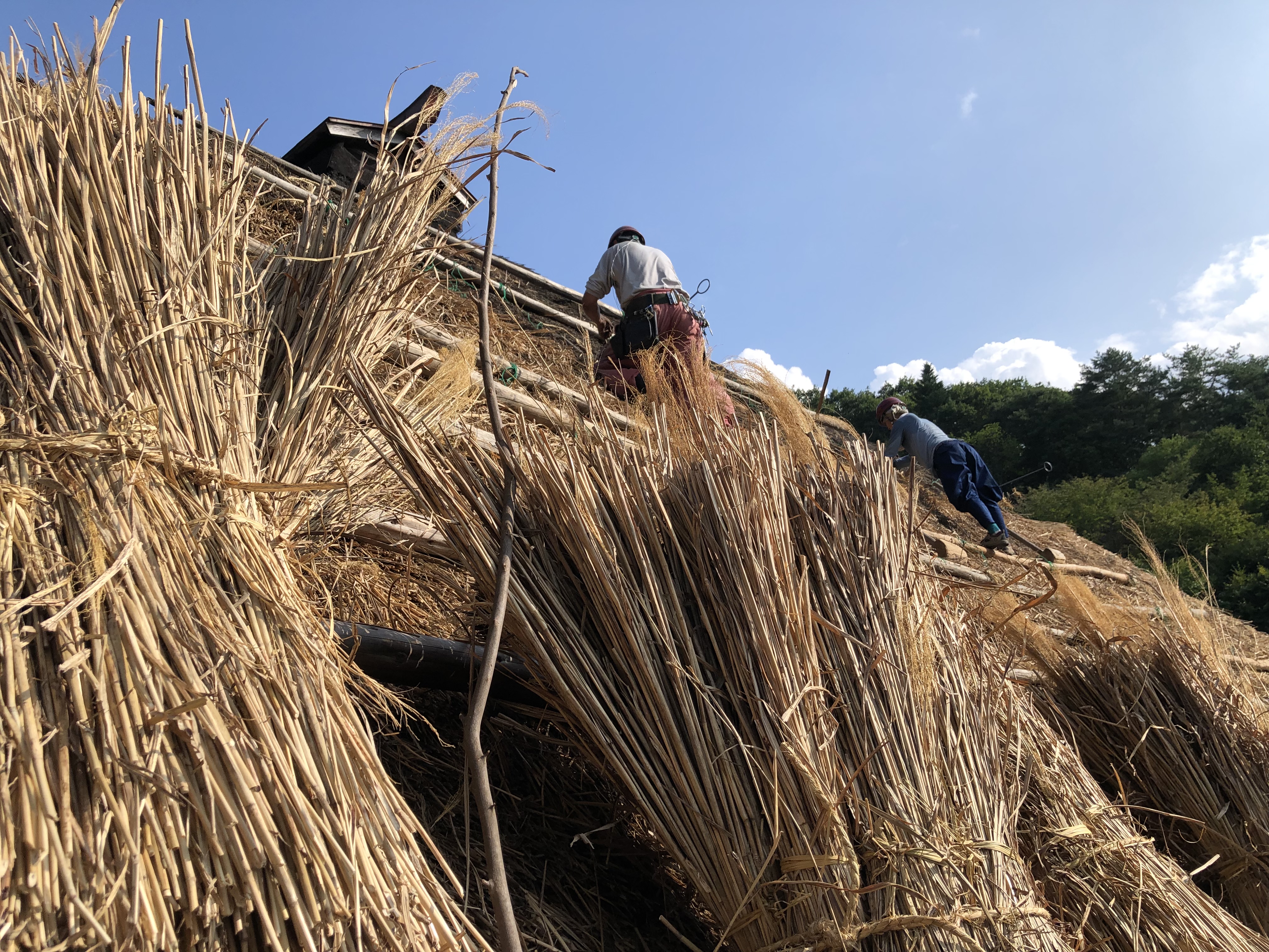 この記事の写真