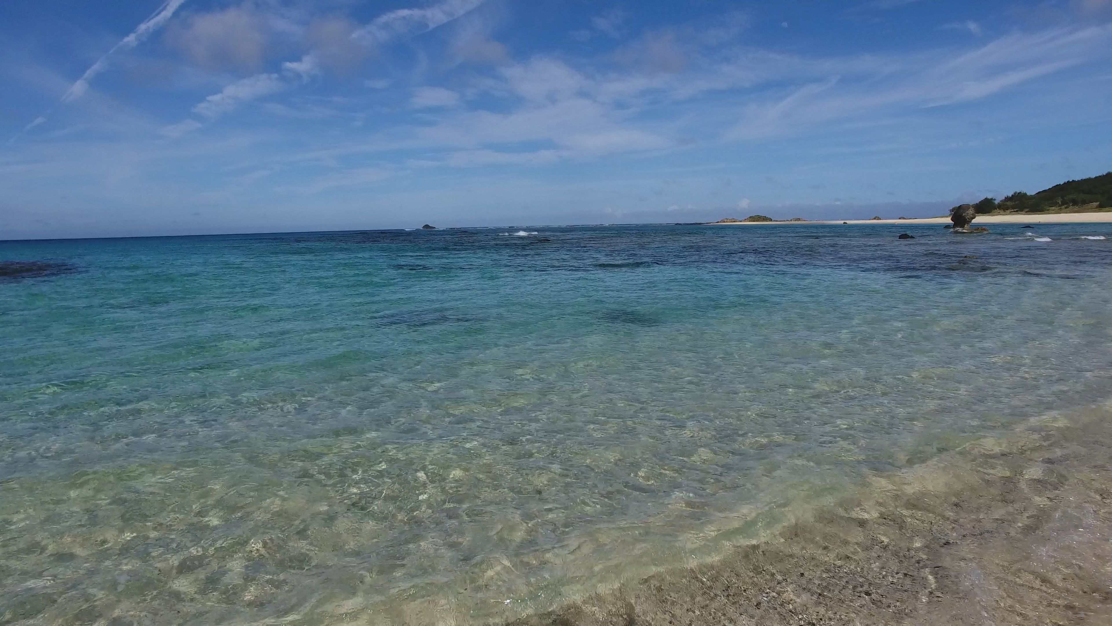 この記事の写真